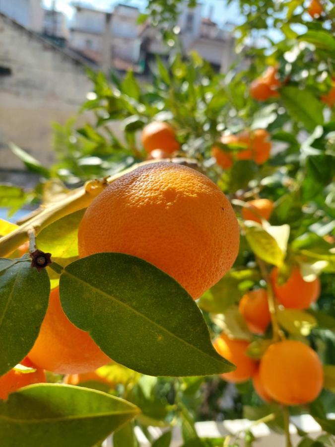 Orange Tree Apartment Aszproválta Kültér fotó